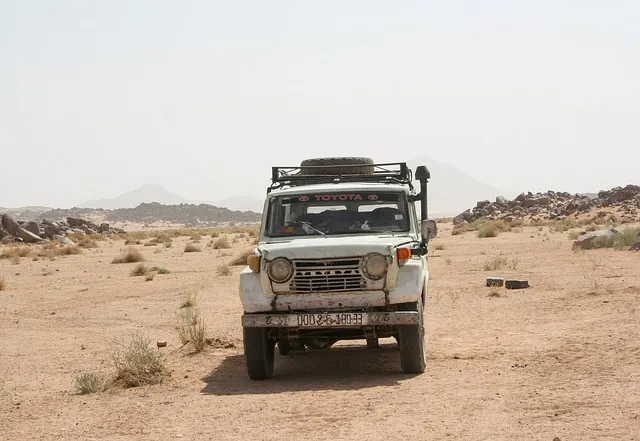 4x4 Truck