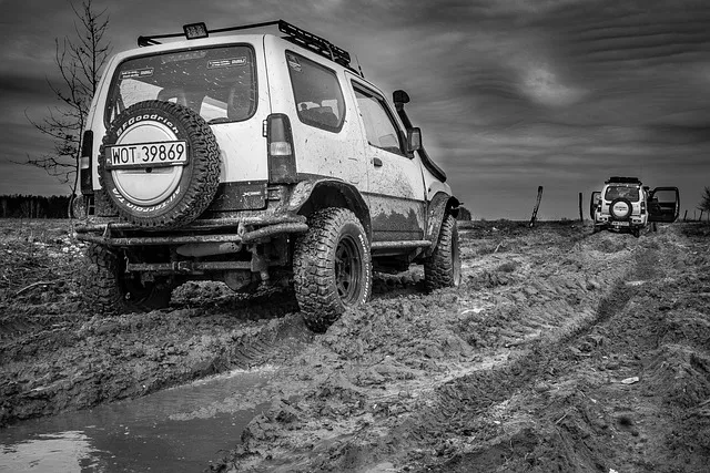 4x4-truck-640x480-91564754.jpeg